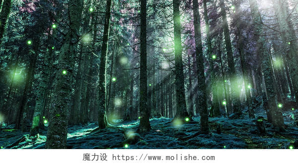 蓝色场景大气森林阳光光点梦幻森林展板背景